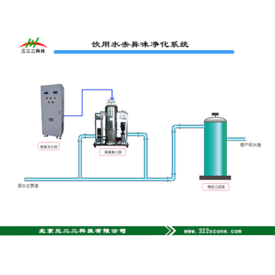 饮用水异味去除净化系统